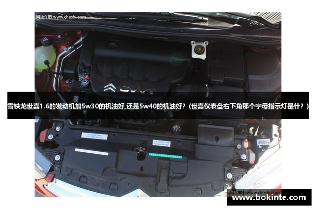 雪铁龙世嘉1.6的发动机加5w30的机油好,还是5w40的机油好？(世嘉仪表盘右下角那个字母指示灯是什？)